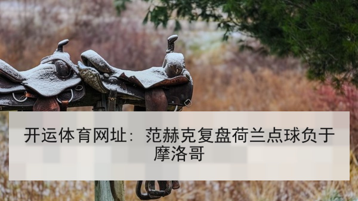 开运体育网址: 范赫克复盘荷兰点球负于摩洛哥 开运体育网址: 范赫克复盘荷兰点球负于摩洛哥