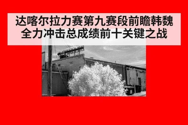 达喀尔拉力赛第九赛段前瞻韩魏全力冲击总成绩前十关键之战